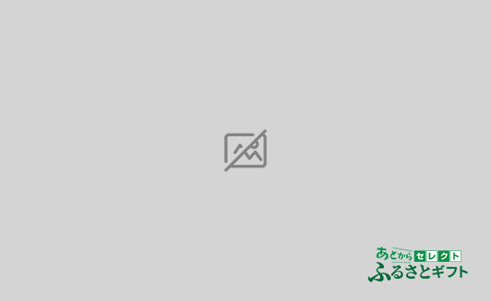 返礼品テスト００２ [ 配達日時指定あり / リードタイムなし ] - サブカテ★